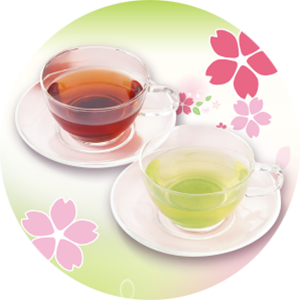 春のお茶