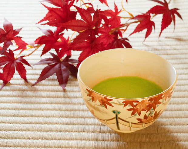 お抹茶は秋が旬