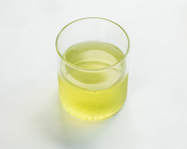 煎茶「銀閣」・かぶせ茶「朝露」を冷たく楽しむ