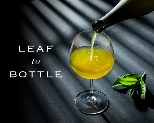 LEAF to BOTTLE
