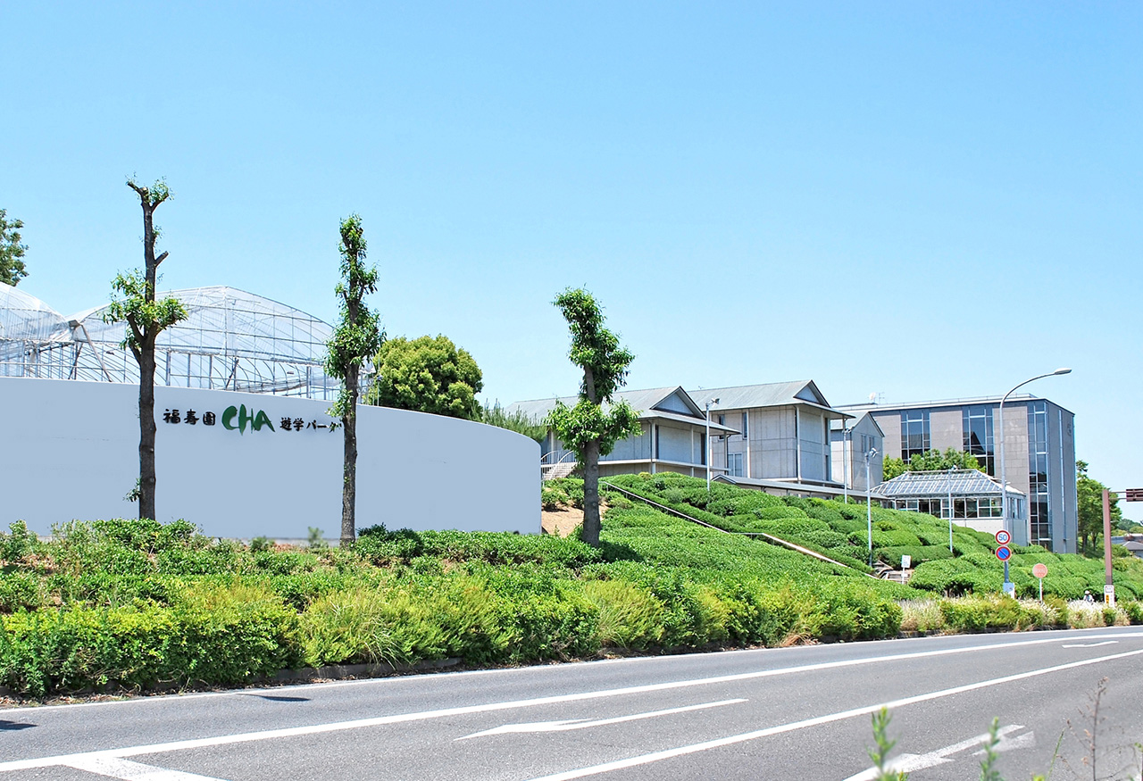 緑豊かな茶園に囲まれています