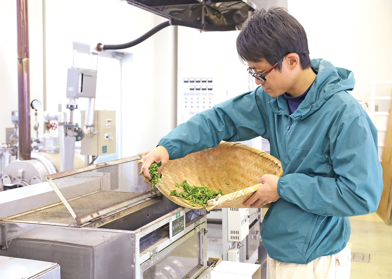 CHA機械製茶体験の一場面