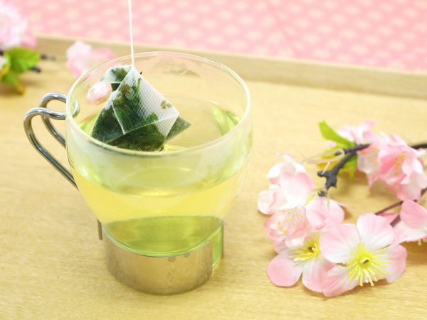 生分解性フィルター